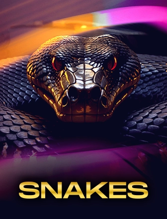 3 Snakes instant win game on Dreambook